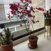 APPARTEMENT EN DUPLEX A LOUER Mamelles Touba renaissance thumb 3