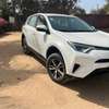 Toyota Rav 4 tropicalisé thumb 1
