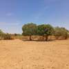 Terrains de 7 590 m² dans la zone horticole de Tassette thumb 0