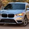 BMW X1 2017 thumb 0
