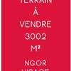 TERRAIN 3002 m²  PIEDS DANS L'EAU ALMADIES thumb 0