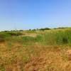 Terrain Industriel 8 779 m² — Axe Tassette thumb 1