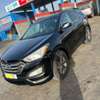 Hyundai Santa Fe thumb 1