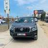 TOYOTA LAND CRUISER 2019 thumb 2