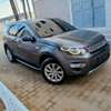 Discovery Wantérr automatique, gasoil 2017 thumb 6
