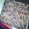 Dattes d'Algerie 05 kg avec branches thumb 1