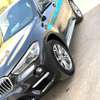 BMW X1 2016 thumb 10