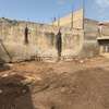 Maison 300m2 soit 30m sur 10 thumb 1