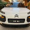 C4 cactus thumb 4