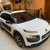 C4 cactus thumb 8