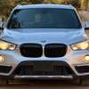 BMW X1 2017 thumb 1