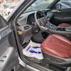 Hyundai Palissade 2019 thumb 9