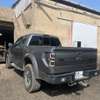 FORD F150 RAPTOR SVT thumb 2