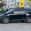 Hyundai SANTAFE EVGt thumb 9