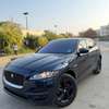 Jaguar venant thumb 3