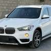 BMW X1 2017 thumb 1
