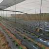 LIVRAISON FRUIT LEGUME ENGRAIS SEMENCE CAMION FRIGO 20M3 thumb 11