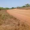 Terrain agricole accessible a vendre thumb 0