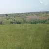 Terrains agricoles de plus de 50 hectares à vendre thumb 1
