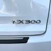 LEXUS NX300 SPORT thumb 10