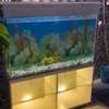 Superbe Aquarium de 280 Litres thumb 0
