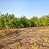 𝐕𝐞𝐫𝐠𝐞𝐫 𝐝𝐞 1 𝐡𝐞𝐜𝐭𝐚𝐫𝐞𝐬 6000m2 𝐞𝐧 𝐩𝐥𝐞𝐢𝐧𝐞 𝐩𝐫𝐨𝐝𝐮𝐜𝐭𝐢𝐨𝐧 thumb 10