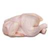 Poulet de chair disponible thumb 0