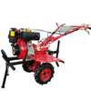 Motobineuse 7, 5 hp thumb 9