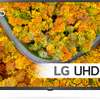 LG SMART 43" UHD 4K 2022 thumb 0