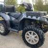Quad polaris 1000 thumb 0
