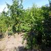 Ferme agricole à vendre à Darou koudoss thumb 7