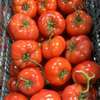 Notto agro-fournisseur thumb 6