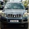 Land Cruiser parada thumb 1