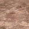 Terrain Yenne/Ndoukhoura Peulh thumb 1