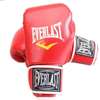Everlast Gants de boxe Professionnel thumb 12
