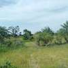 5 hectares à vendre entre Saou et Diambalo thumb 1