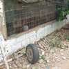 Verger à vendre à Ndiar , zone Bayakh thumb 6