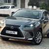 2020 Lexus NX 300H Hybrid thumb 1