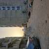 Terrain Almadie Boa thumb 6