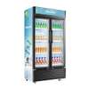Réfrigérateur Vitrine Hisense FL81WC - 600 Litres (2 Portes) thumb 5