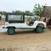 Citroen Mehari 1978 thumb 1