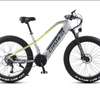 vélo électrique thumb 0