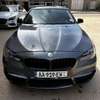 BMW  Serie 528i 2013 thumb 0