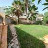 DAKAR ALMADIES : Terrain à vendre 980 m2 – TF thumb 0