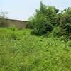 Opportunité à saisir – Terrain de 300 m² clôturé thumb 8