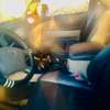 TOYOTA LAND CRUISER/MANUEL DIESEL thumb 1