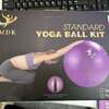 Ballon gym 500 lbs violet antidérapant taille standard thumb 3