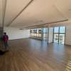 PENTHOUSE AUX ALMADIES thumb 13