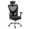 Fauteuil ergonomique thumb 0