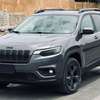 Jeep Cherokee Limited 2019 thumb 8